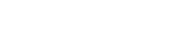 Noir Logo