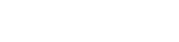 DubVision Logo