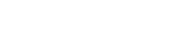 Lil Texas Logo