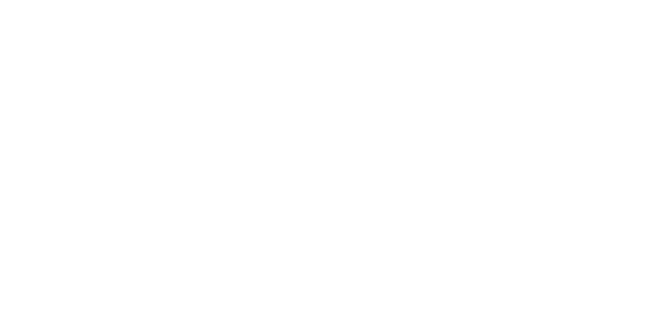 Liquid Stranger Logo
